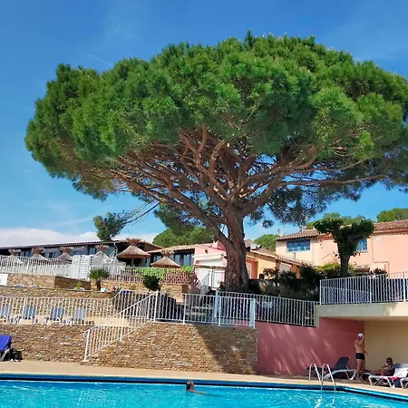Le Tropezen Confort Tv Wifi Vod Piscine Chaufee 4* Gassin